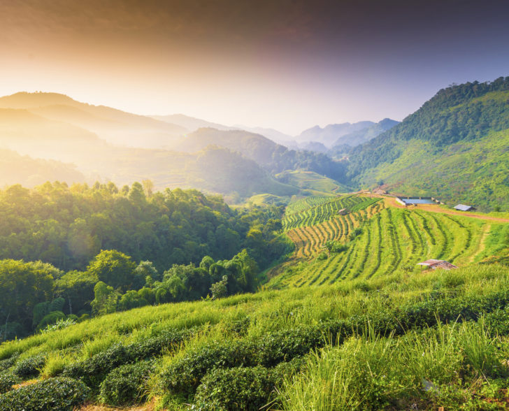 Panoramic view misty morning sunrise in mountain at north Thailand