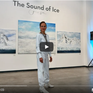 Vernissage THE SOUND OF ICE Barlach Halle K