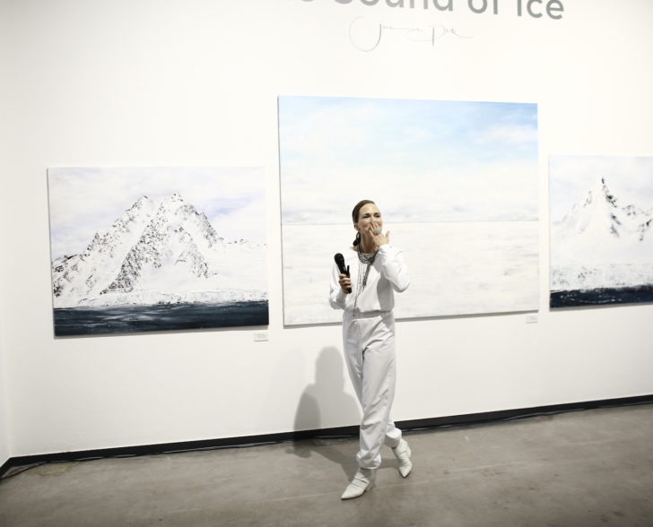 The Sound of Ice Vernissage Rede